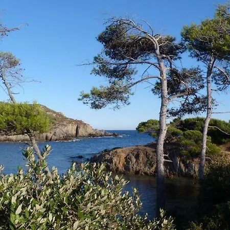 Villa Front De Acces Presqu'ile De Giens-sea And Mountain Pleasure *